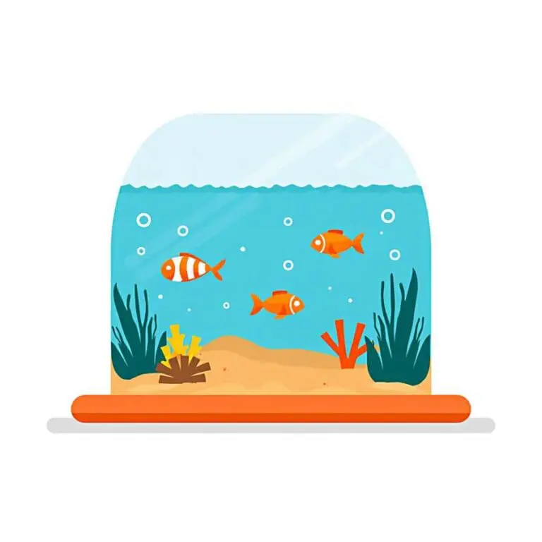 Aquarium 00001 1 768x768