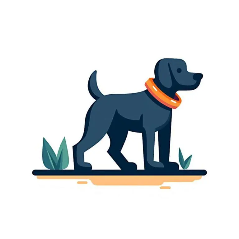 Dog park 00001  3 768x768