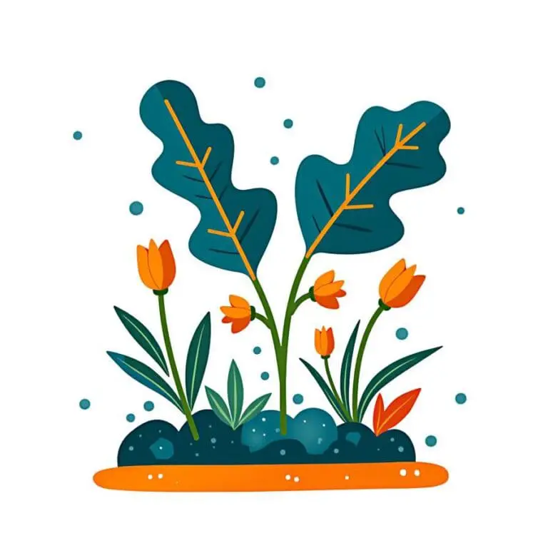 Garden 00001  115 768x768